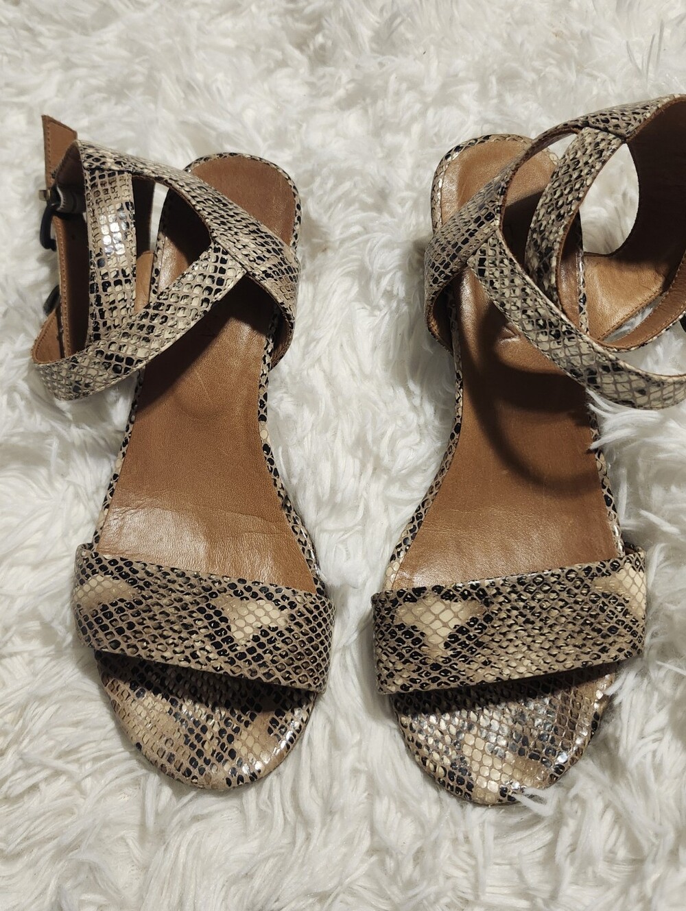 Ethem Snake-Print Strappy Women's Sandals in Beige Size 7(37)
